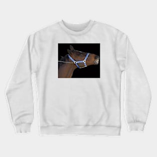 Horse racing Crewneck Sweatshirt